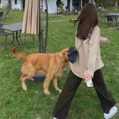 坎特维尔的幽灵